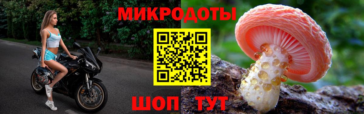 Россия  Псилоцибиновые грибы Psilocybine cubensis  Галлюциногенные грибы GOLDEN TEACHER  Вход с VPN 